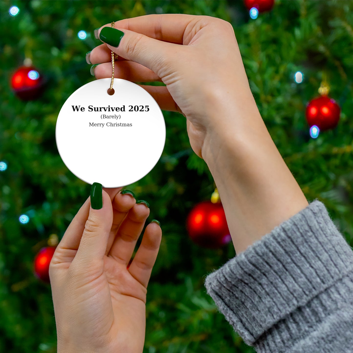 We Survived 2025 Ornament — Funny Holiday Gift